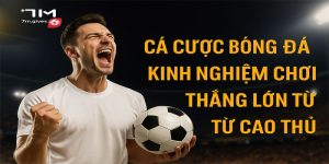 Cá Cược Bóng Đá – Bí Quyết Thắng Lớn và Trang Uy Tín